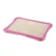 Product Richell PAW TRAX® Mesh Training Tray