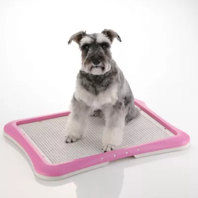 Product Richell PAW TRAX® Mesh Training Tray