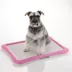 Richell PAW TRAX® Mesh Training Tray image thumbnail 3