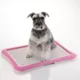 Product Richell PAW TRAX® Mesh Training Tray