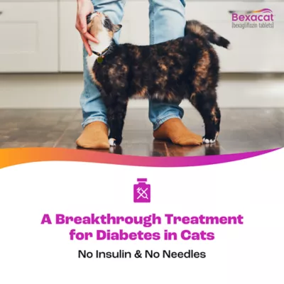 Bexacat (bexagliflozin tablets) for Cats 6.6 lbs & Over - 15 mg Tablets - 30ct or 90ct - Image 3