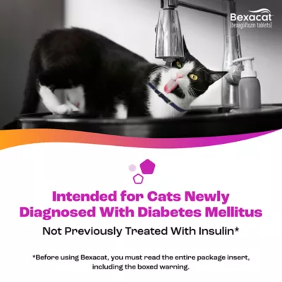 Bexacat (bexagliflozin tablets) for Cats 6.6 lbs & Over - 15 mg Tablets - 30ct or 90ct - Image 4