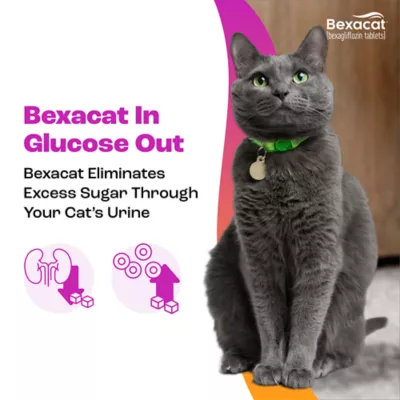 Bexacat (bexagliflozin tablets) for Cats 6.6 lbs & Over - 15 mg Tablets - 30ct or 90ct - Image 5