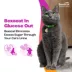 Bexacat (bexagliflozin tablets) for Cats 6.6 lbs & Over - 15 mg Tablets - 30ct or 90ct image thumbnail 5