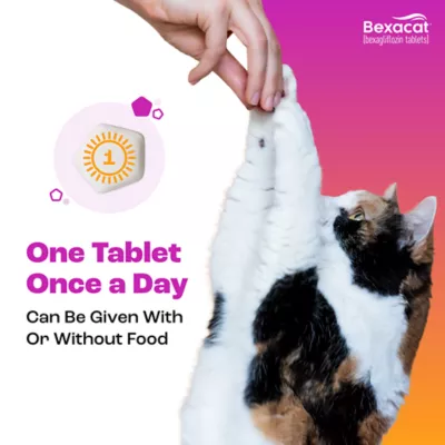 Bexacat (bexagliflozin tablets) for Cats 6.6 lbs & Over - 15 mg Tablets - 30ct or 90ct - Image 6