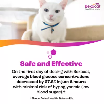 Bexacat (bexagliflozin tablets) for Cats 6.6 lbs & Over - 15 mg Tablets - 30ct or 90ct - Image 9