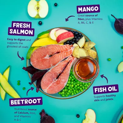 Edgard & Cooper Grain Free Adult Dry Dog Food - Salmon - Image 3