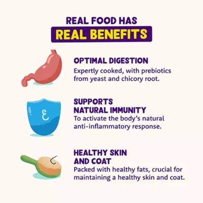 Edgard & Cooper Grain Free Adult Dry Dog Food - Salmon - Image 4