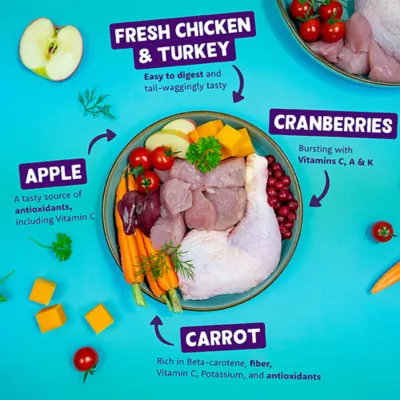 Product Edgard & Cooper Succulent Chicken & Turkey Adult Wet Dog Food - Grain Free
