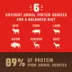 Product Stella & Chewy's Wild Red Raw Coated All Life Stages Dry Dog Food - Grain & Legume Free, Red Meat