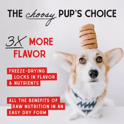 Product Stella & Chewy's Freeze-Dried Raw Dinner Patties All Life Stages Dry Dog Food - Super Beef