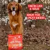 Stella & Chewy's Freeze-Dried Raw Meal Mixers All Life Stages Dog Food Topper - Super Beef image thumbnail 7