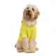 Product Hotel Doggy Packable Reflective Raincoat - Super Yellow