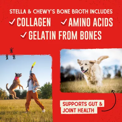Product Stella & Chewy's Bountiful Bone Broth All Life Stages Dog Food Topper - Beef