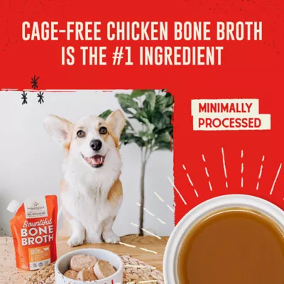Product Stella & Chewy's Bountiful Bone Broth All Life Stages Dog Food Topper - Chicken