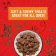 Product Stella and Chewy Crav'n Bac'n Bites Dog Treats 8.25 OZ