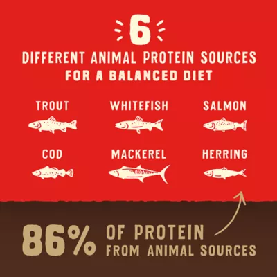 Product Stella & Chewy's Wild Red Raw Coated All Life Stages Dry Dog Food - Grain & Legume Free, Ocean