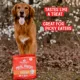 Product Stella & Chewy's Freeze-Dried Raw Meal Mixers All Life Stages Dog Food Topper - Super Beef