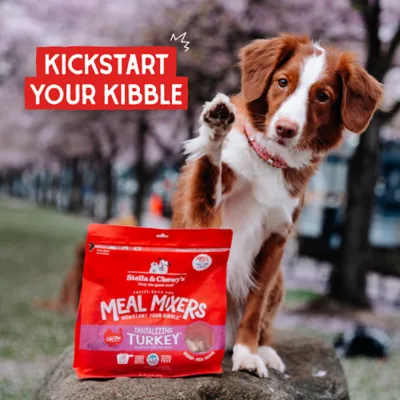 Product Stella & Chewy's Freeze-Dried Raw Meal Mixers All Life Stages Dog Food Topper - Tantalizing Turkey