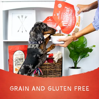 Product Stella & Chewy's Freeze-Dried Raw Magical Dinner Dust All Life Stages Dog Food Topper - Beef