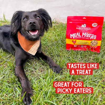 Product Stella & Chewy's Freeze-Dried Raw Meal Mixers All Life Stages Dog Food Topper - Chewy's Chicken