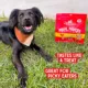 Product Stella & Chewy's Freeze-Dried Raw Meal Mixers All Life Stages Dog Food Topper - Chewy's Chicken