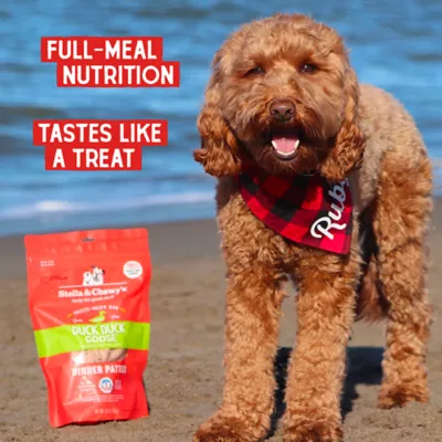 Product Stella & Chewy's Freeze-Dried Raw Dinner Patties All Life Stages Dry Dog Food - Duck