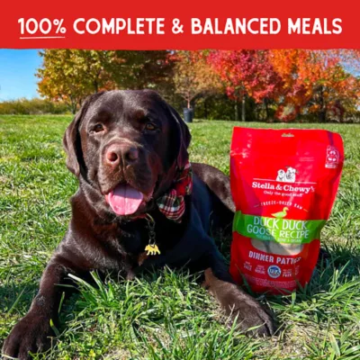 Product Stella & Chewy's Freeze-Dried Raw Dinner Patties All Life Stages Dry Dog Food - Duck