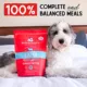 Product Stella & Chewy's Freeze-Dried Raw Dinner Patties All Life Stages Dry Dog Food - Dandy Lamb