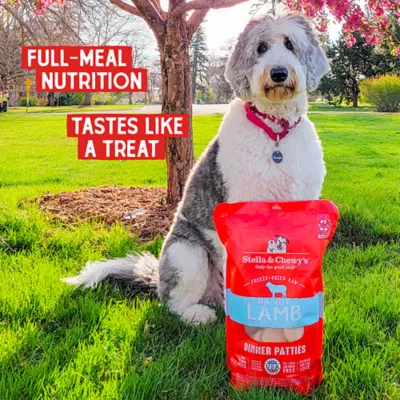Product Stella & Chewy's Freeze-Dried Raw Dinner Patties All Life Stages Dry Dog Food - Dandy Lamb