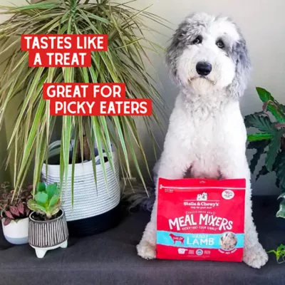 Product Stella & Chewy's Freeze-Dried Raw Meal Mixers All Life Stages Dog Food Topper - Dandy Lamb