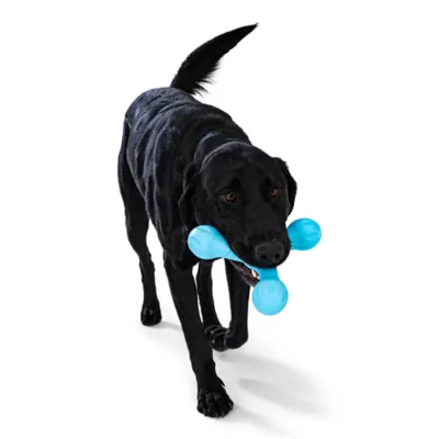 Product West Paw Zogoflex Skamp Dog Toy