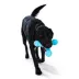 West Paw Zogoflex Skamp Dog Toy image thumbnail 4