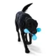 Product West Paw Zogoflex Skamp Dog Toy