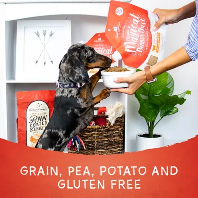 Product Stella & Chewy's Freeze-Dried Raw Magical Dinner Dust All Life Stages Dog Food Topper - Bacon