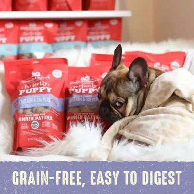 Product Stella & Chewy's Freeze-Dried Raw Dinner Patties Puppy Dry Dog Food - Chicken & Salmon