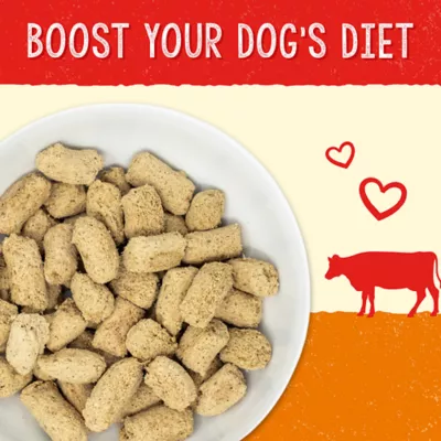 Product Stella & Chewy's Stella's Solutions Digestive Support All Life Stages Dog Food Topper - Beef