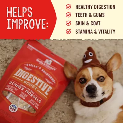 Product Stella & Chewy's Stella's Solutions Digestive Support All Life Stages Dog Food Topper - Beef
