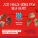 Product Stella and Chewy's Freeze Dried Dog Treats 3 OZ