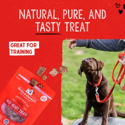 Product Stella and Chewy's Freeze Dried Dog Treats 3 OZ
