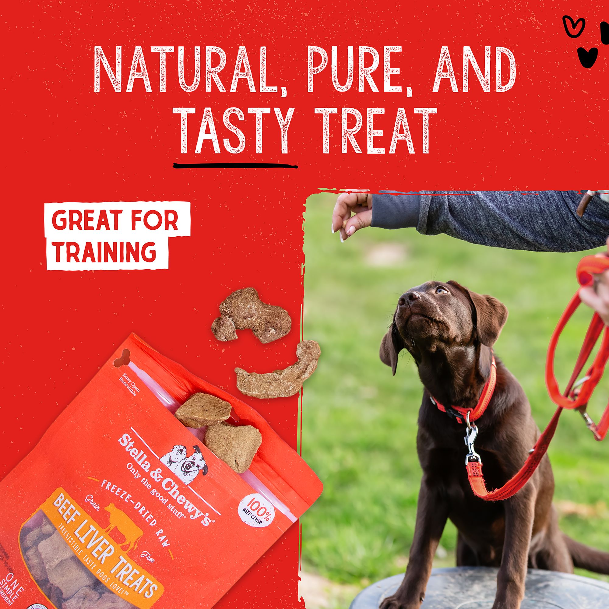 Are Freeze Dried Treats Good for Dogs: Healthy Snack Secrets Revealed