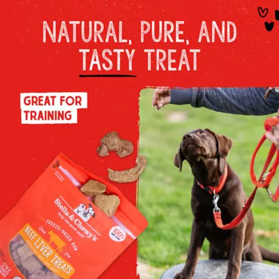Product Stella and Chewy's Freeze Dried Dog Treats 3 OZ