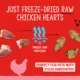 Product Stella and Chewy's Freeze Dried Dog Treats