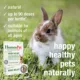 Product HomeoPet Small Pet Nose Relief