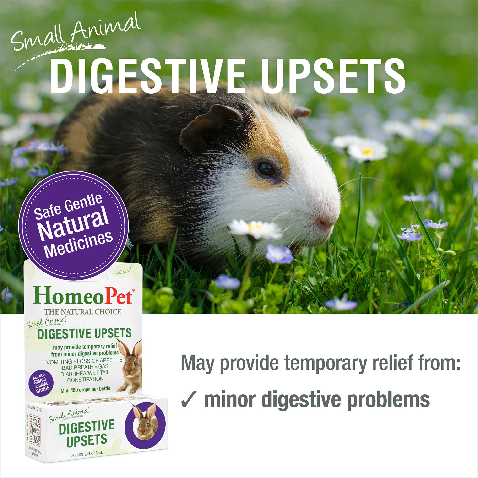 HomeoPet Small Pet Digestive Upsets Relief Digestive Support Supplement - thumbnail 2