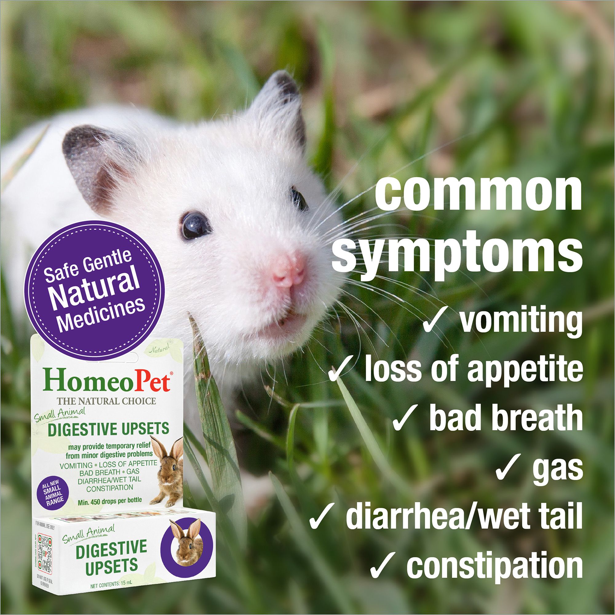 HomeoPet Small Pet Digestive Upsets Relief Digestive Support Supplement - thumbnail 3