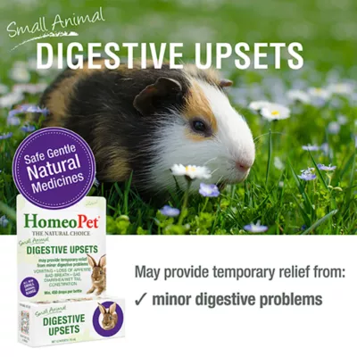 Product HomeoPet Small Pet Digestive Upsets Relief