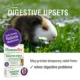 Product HomeoPet Small Pet Digestive Upsets Relief