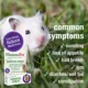 Product HomeoPet Small Pet Digestive Upsets Relief