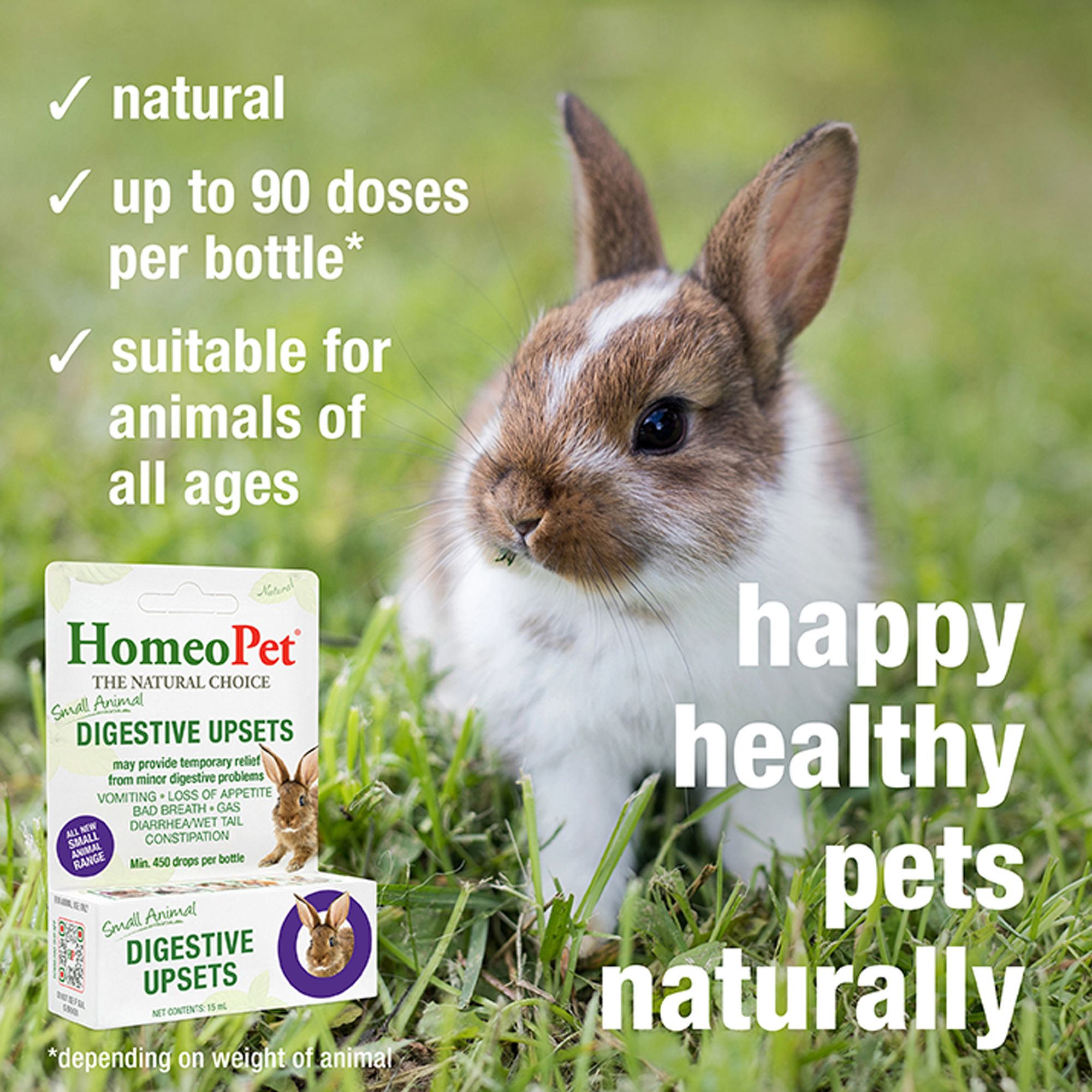 HomeoPet Small Pet Digestive Upsets Relief Digestive Support Supplement - thumbnail 5
